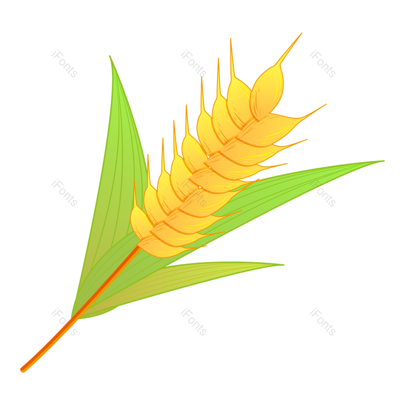 芒种图片,秋天元素,麦子PNG,丰收免抠素材